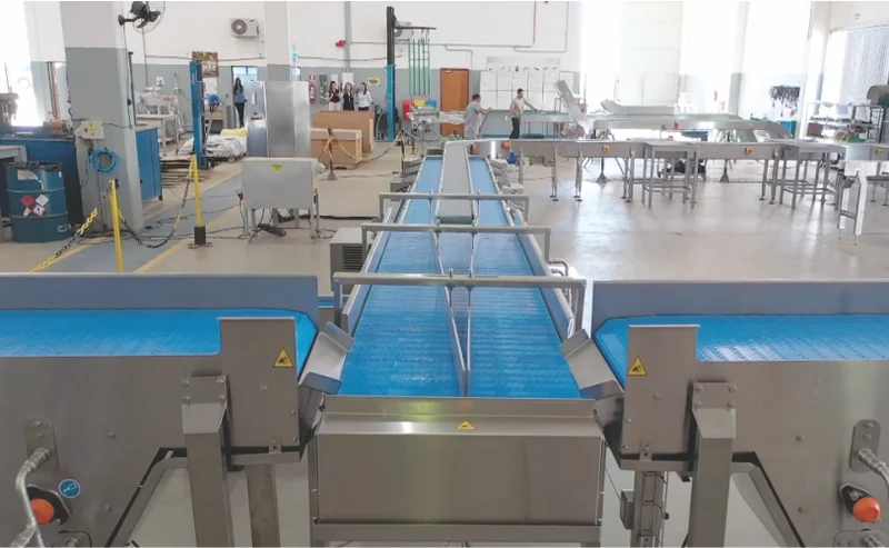 Transportadores para Carnes e Aves